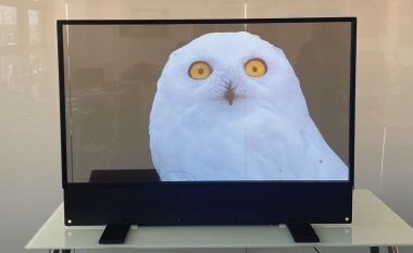 προσαρμοσμένη Ultra Thin OLED Διαφανής οθόνη για εσωτερική διαφήμιση